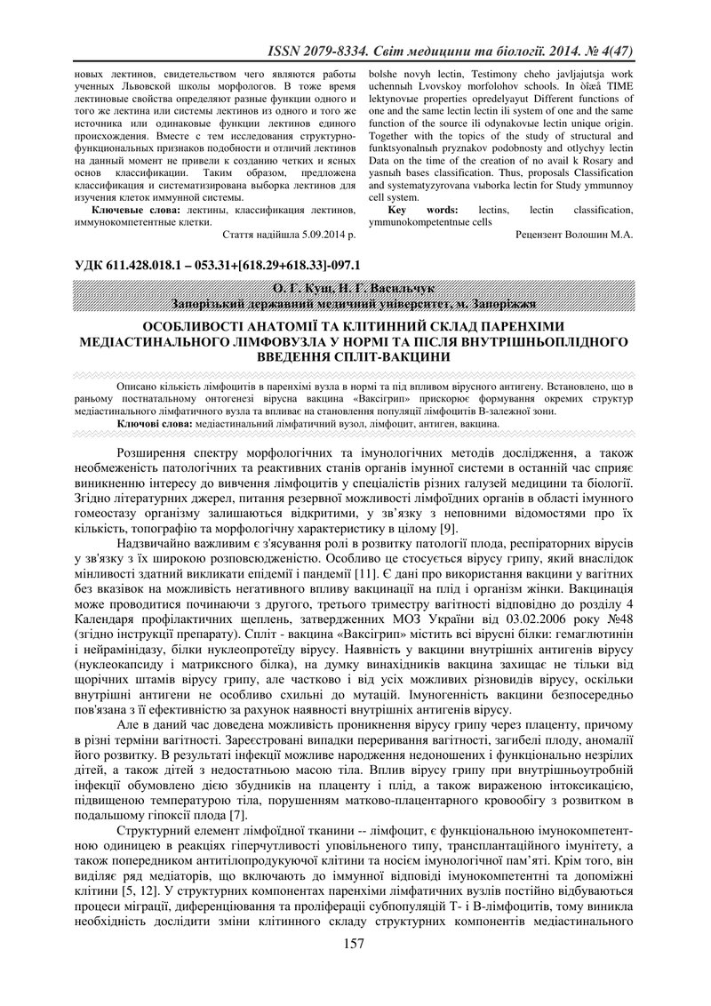 ОСОБЛИВОСТІ АНАТОМІЇ ТА КЛІТИННИЙ СКЛАД ПАРЕНХІМИ МЕДІАСТИНАЛЬНОГО ЛІМФОВУЗЛА У НОРМІ ТА ПІСЛЯ ВНУТР