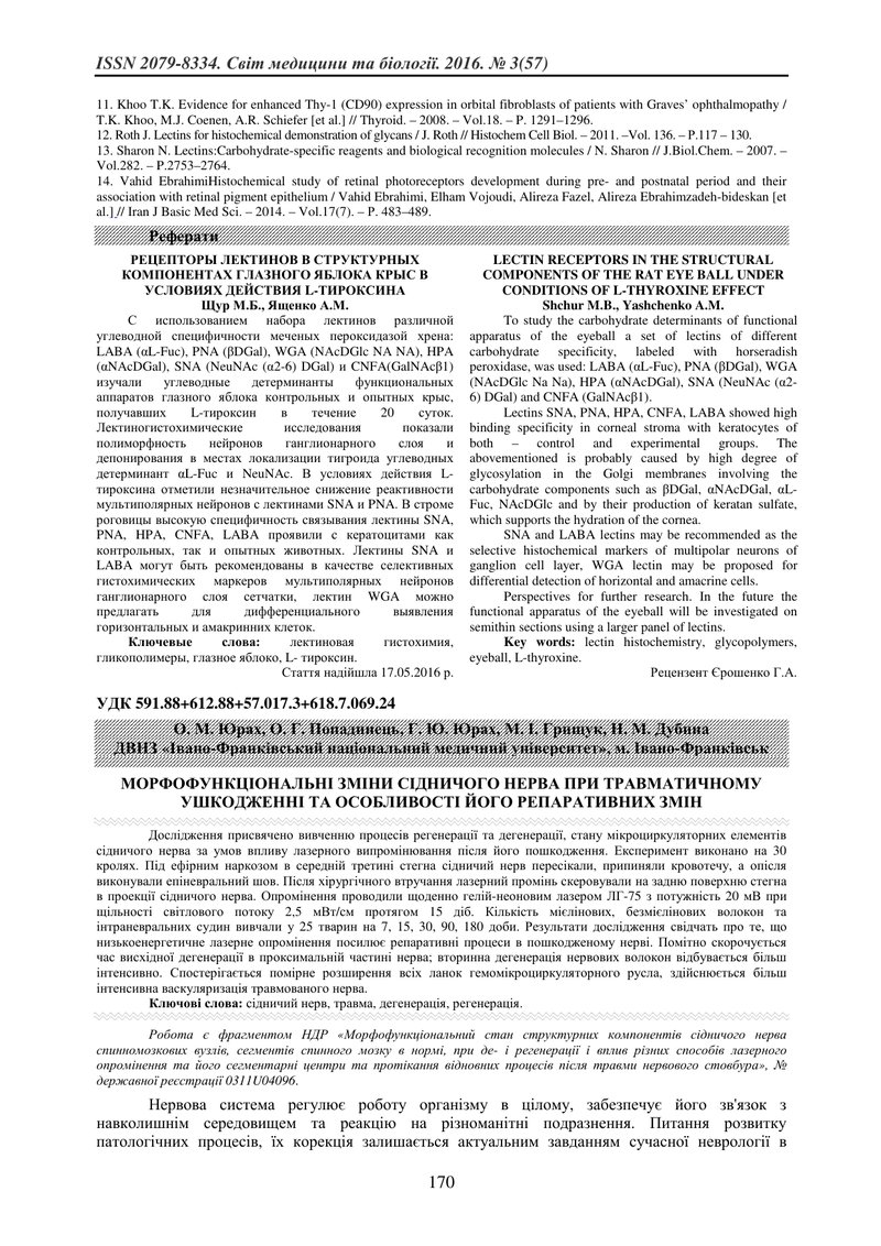 МОРФОФУНКЦІОНАЛЬНІ ЗМІНИ СІДНИЧОГО НЕРВА ПРИ ТРАВМАТИЧНОМУ УШКОДЖЕННІ ТА ОСОБЛИВОСТІ ЙОГО РЕПАРАТИВН