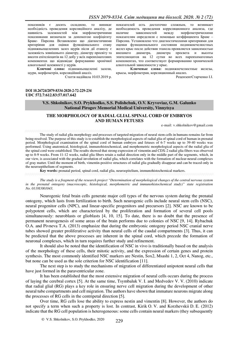 МОРФОЛОГІЯ РАДІАЛЬНОЇ ГЛІЇ СПИННОГО МОЗКУ ЕМБРІОНІВ ТА ПЛОДІВ  ЛЮДИНИ