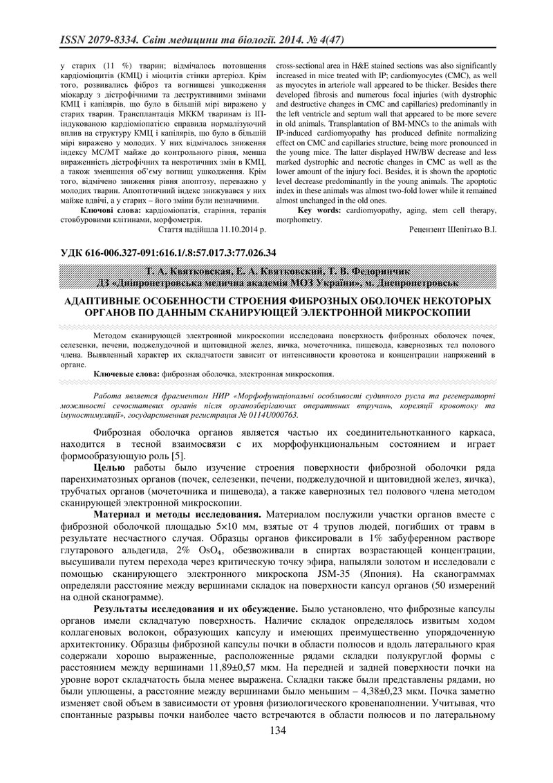 АДАПТИВНІ ОСОБЛИВОСТІ БУДОВИ ФІБРОЗНИХ ОБОЛОНОК ДЕЯКИХ ОРГАНІВ ЗА ДАНИМИ СКАНУЮЧОЇ ЕЛЕКТРОННОЇ МІКРО