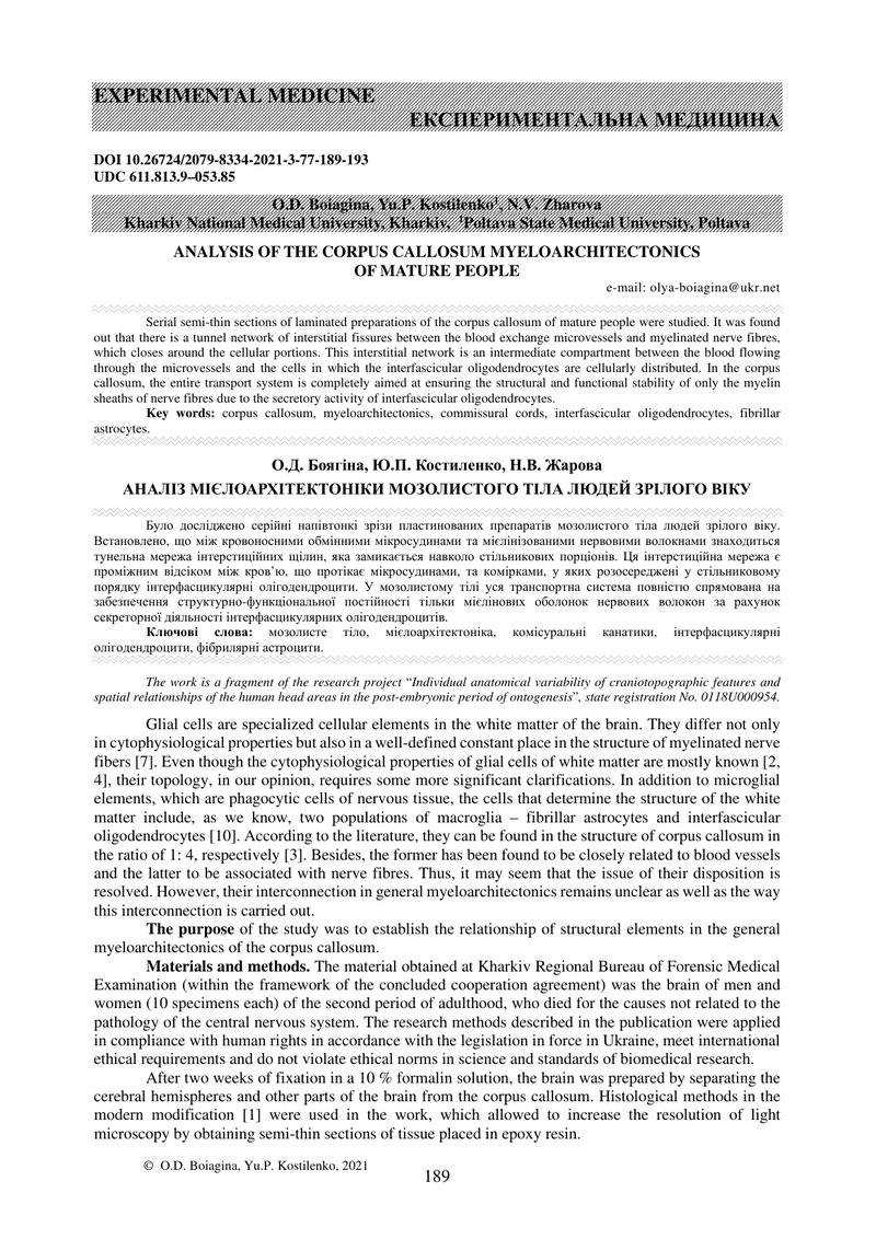 АНАЛІЗ МІЄЛОАРХІТЕКТОНІКИ МОЗОЛИСТОГО ТІЛА ЛЮДЕЙ ЗРІЛОГО ВІКУ