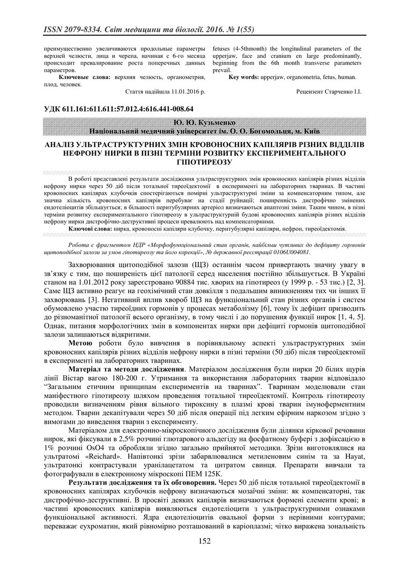 АНАЛІЗ УЛЬТРАСТРУКТУРНИХ ЗМІН КРОВОНОСНИХ КАПІЛЯРІВ РІЗНИХ ВІДДІЛІВ  НЕФРОНУ НИРКИ В ПІЗНІ ТЕРМІНИ Р
