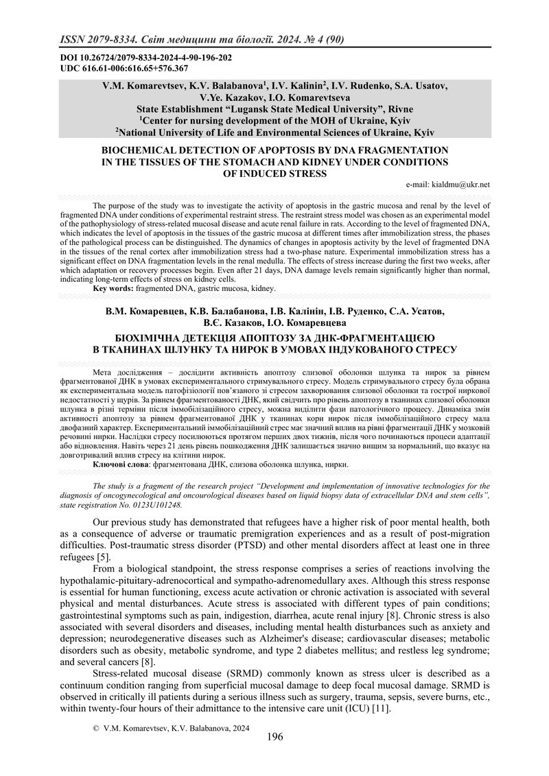 БІОХІМІЧНА ДЕТЕКЦІЯ АПОПТОЗУ ЗА ДНК-ФРАГМЕНТАЦІЄЮ  В ТКАНИНАХ ШЛУНКУ ТА НИРОК В УМОВАХ ІНДУКОВАНОГО 