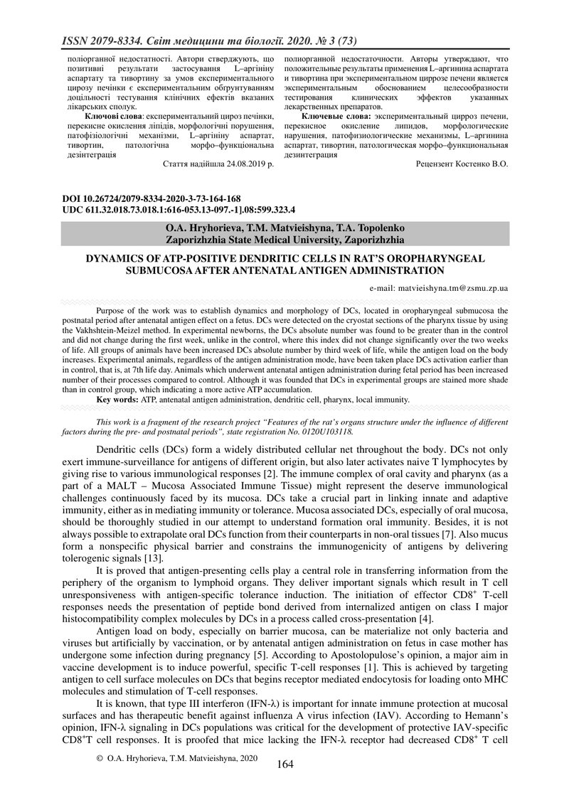 ДИНАМІКА АТФ-ПОЗИТИВНИХ ДЕНДРИТНИХ КЛІТИН В ПІДСЛИЗОВІЙ ОСНОВІ РОТОВОЇ ЧАСТИНИ ГЛОТКИ ЩУРІВ ПІСЛЯ ВН