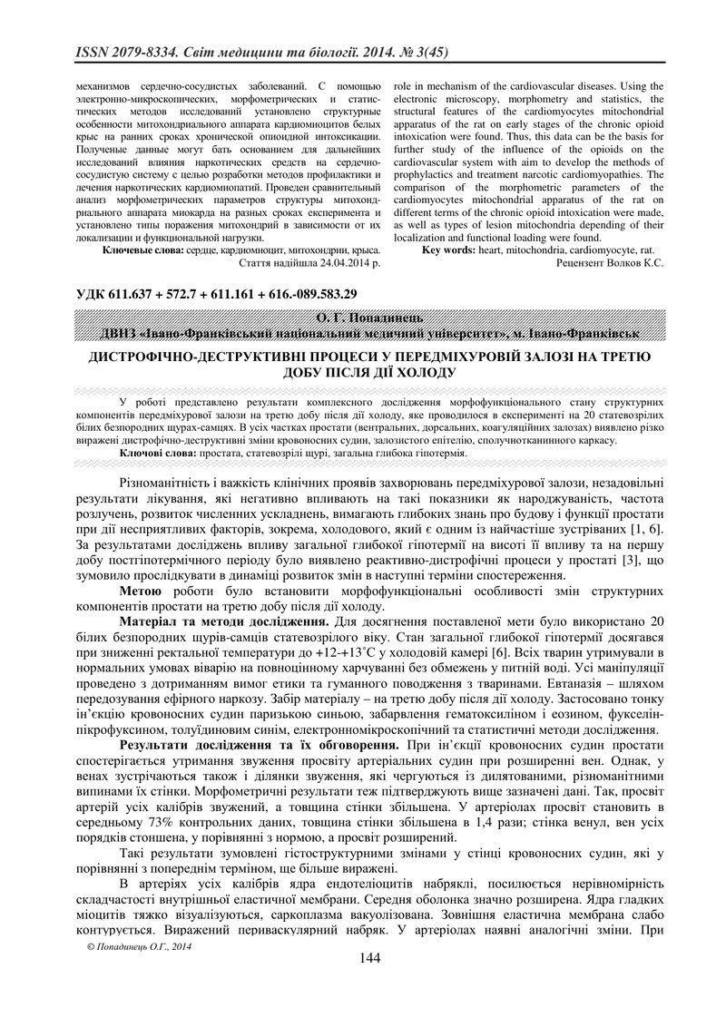 ДИСТРОФІЧНО-ДЕСТРУКТИВНІ ПРОЦЕСИ У ПЕРЕДМІХУРОВІЙ ЗАЛОЗІ НА ТРЕТЮ ДОБУ ПІСЛЯ ДІЇ ХОЛОДУ