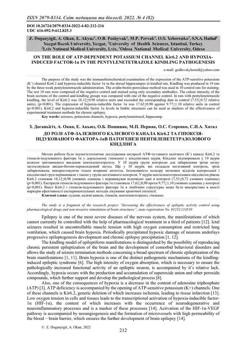 ДО РОЛІ АТФ-ЗАЛЕЖНОГО КАЛІЄВОГО КАНАЛА Kir6.2 ТА ГІПОКСІЯ-ІНДУКОВАНОГО ФАКТОРА-1αВ ПАТОГЕНЕЗІ ПЕНТИЛ