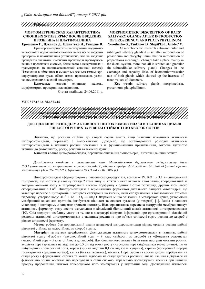 ДОСЛІДЖЕННЯ РОЗПОДІЛУ АКТИВНОСТІ ЦИТОХРОМОКСИДАЗИ В ТКАНИНАХ ЦИБУЛІ РІПЧАСТОЇ РІЗНИХ ЗА РІВНЕМ СТІЙК