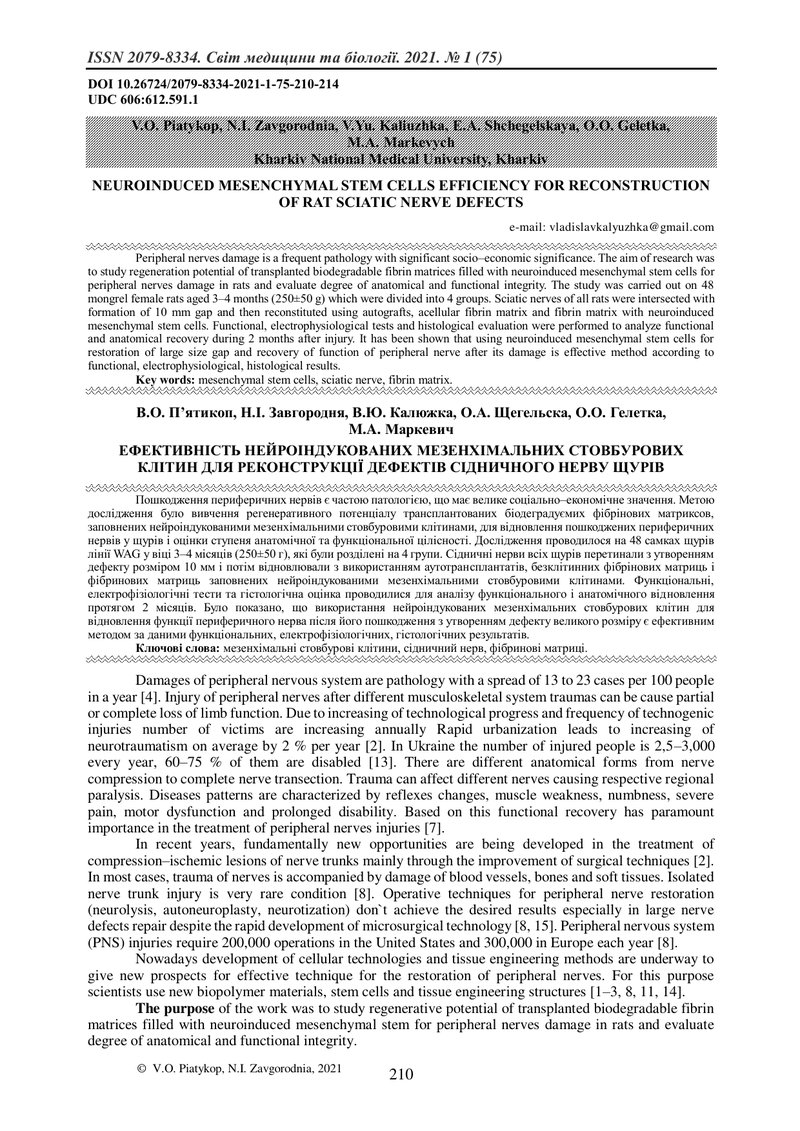 ЕФЕКТИВНІСТЬ НЕЙРОІНДУКОВАНИХ МЕЗЕНХІМАЛЬНИХ СТОВБУРОВИХ КЛІТИН ДЛЯ РЕКОНСТРУКЦІЇ ДЕФЕКТІВ СІДНИЧНОГ