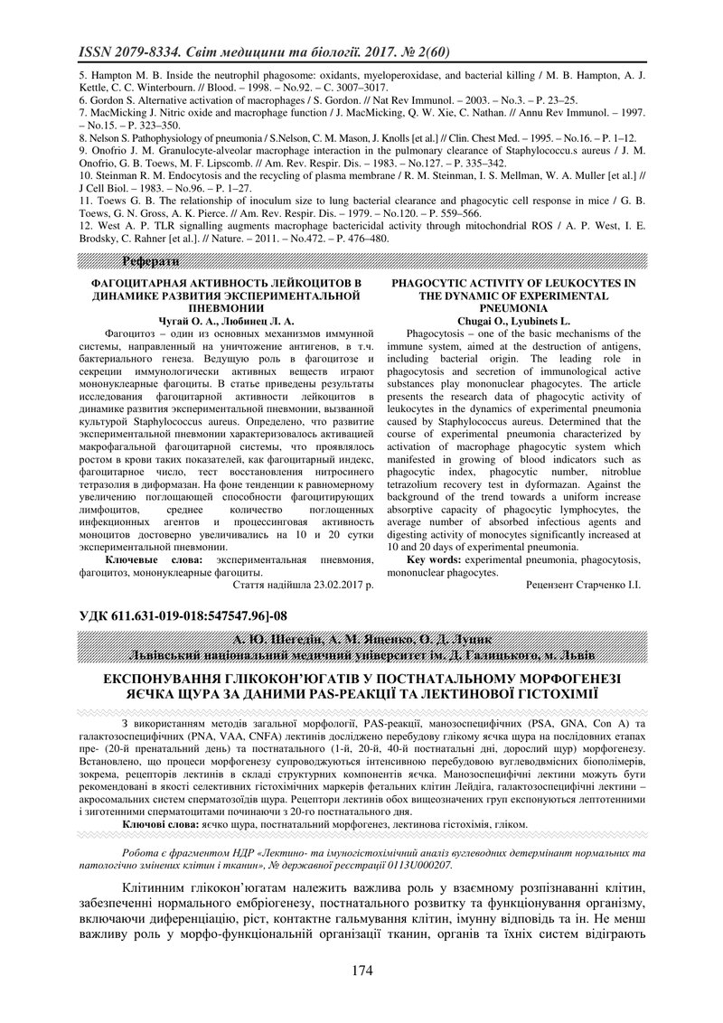 ЕКСПОНУВАННЯ ГЛІКОКОН’ЮГАТІВ У ПОСТНАТАЛЬНОМУ МОРФОГЕНЕЗІ ЯЄЧКА ЩУРА ЗА ДАНИМИ PAS-РЕАКЦІЇ ТА ЛЕКТИН