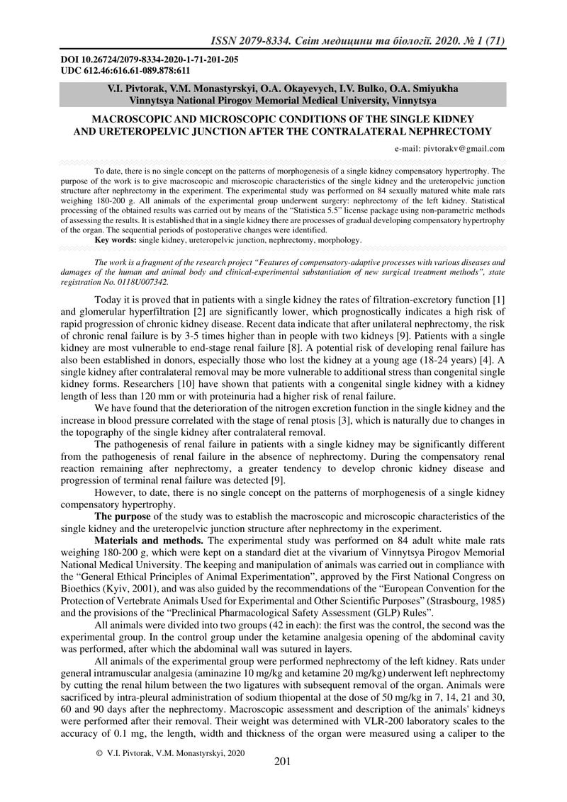 МАКРОСКОПІЧНИЙ І МІКРОСКОПІЧНИЙ СТАН ЄДИНОЇ НИРКИ І МИСКОВО-СЕЧОВІДНОГО СЕГМЕНТУ ПІСЛЯ НЕФРЕКТОМІЇ К