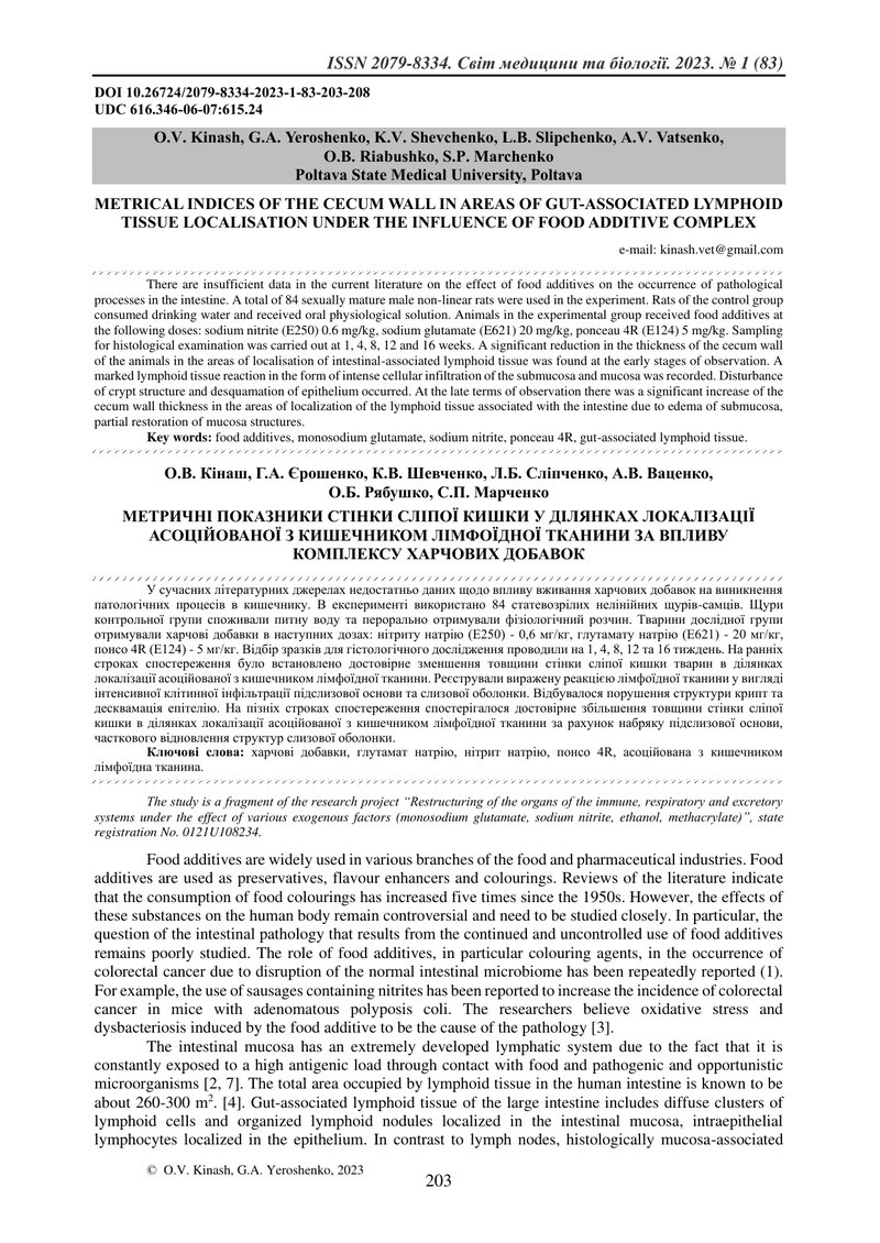 МЕТРИЧНІ ПОКАЗНИКИ СТІНКИ СЛІПОЇ КИШКИ У ДІЛЯНКАХ ЛОКАЛІЗАЦІЇ АСОЦІЙОВАНОЇ З КИШЕЧНИКОМ ЛІМФОЇДНОЇ Т