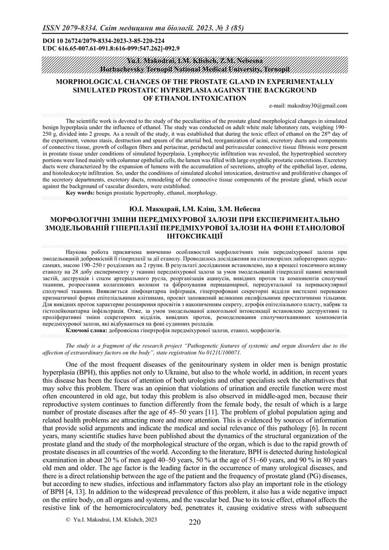 МОРФОЛОГІЧНІ ЗМІНИ ПЕРЕДМІХУРОВОЇ ЗАЛОЗИ ПРИ ЕКСПЕРИМЕНТАЛЬНО ЗМОДЕЛЬОВАНІЙ ГІПЕРПЛАЗІЇ ПЕРЕДМІХУРОВ