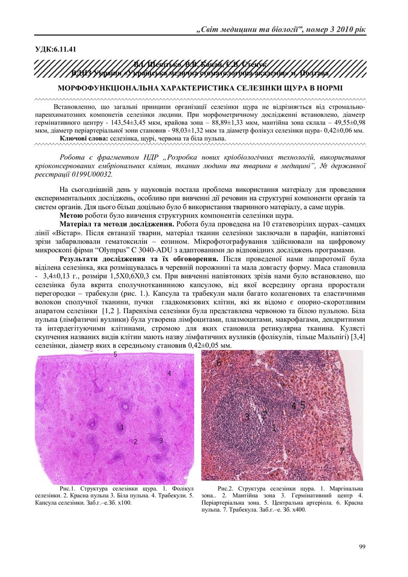 МОРФОФУНКЦІОНАЛЬНА ХАРАКТЕРИСТИКА МІКРОЦИРКУЛЯТОРНОГО РУСЛА СУБХОНДРАЛЬНОЇ КІСТКИ  ПРИ ВВЕДЕННІ КРІО