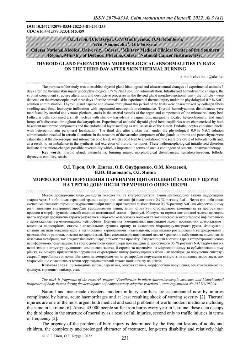 МОРФОЛОГІЧНІ ПОРУШЕННЯ ПАРЕНХІМИ ЩИТОПОДІБНОЇ ЗАЛОЗИ У ЩУРІВ НА ТРЕТЮ ДОБУ ПІСЛЯ ТЕРМІЧНОГО ОПІКУ ШК