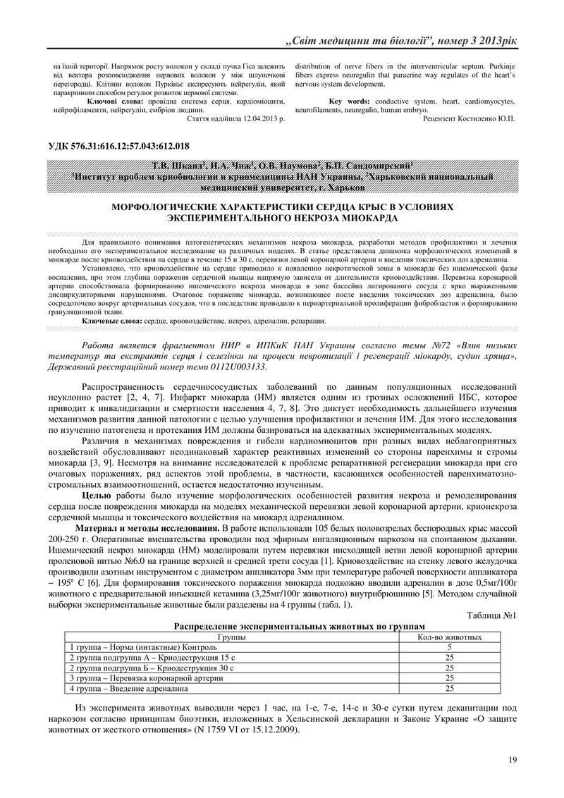 МОРФОЛОГІЧНІ ХАРАКТЕРИСТИКИ СЕРЦЯ ЩУРІВ В УМОВАХ ЕКСПЕРИМЕНТАЛЬНОГО НЕКРОЗУ МІОКАРДА