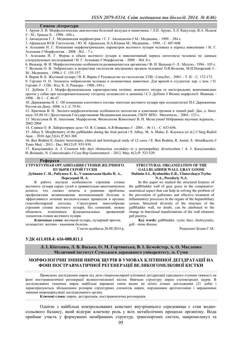 МОРФОЛОГІЧНІ ЗМІНИ НИРОК ЩУРІВ В УМОВАХ КЛІТИННОЇ ДЕГІДРАТАЦІЇ НА ФОНІ ПОСТРАВМАТИЧНОЇ РЕГЕНЕРАЦІЇ В