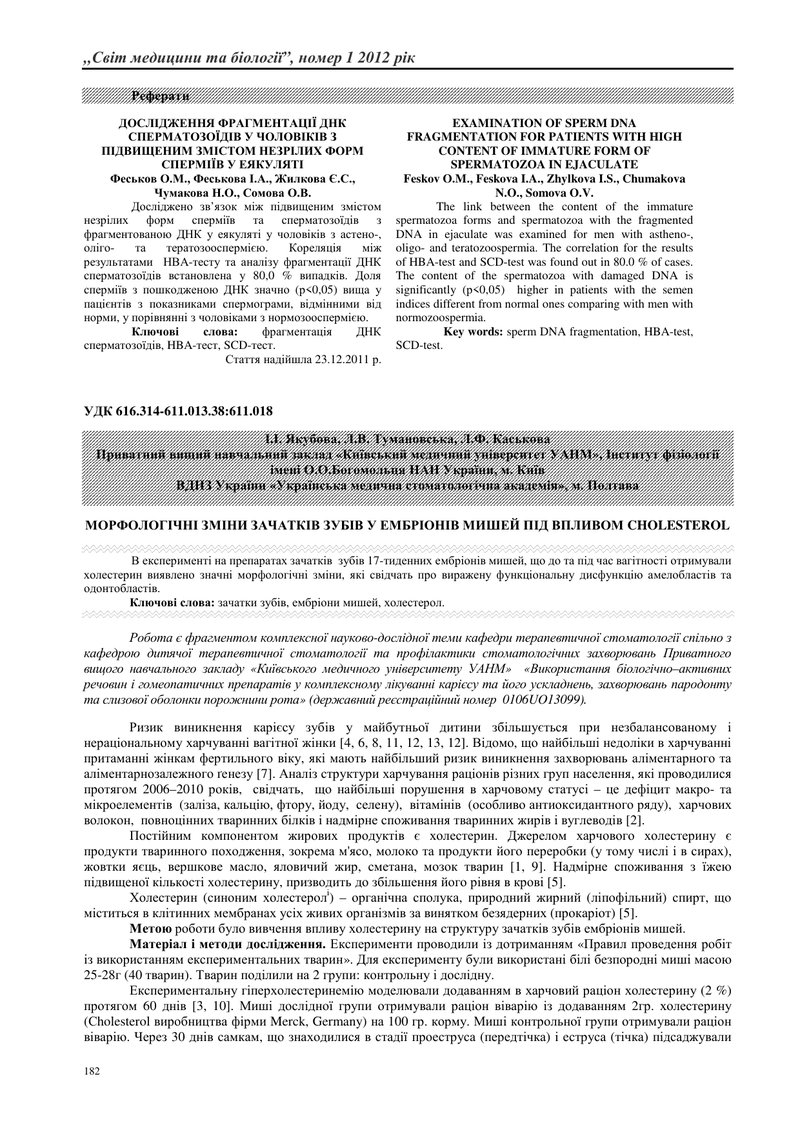 МОРФОЛОГІЧНІ ЗМІНИ ЗАЧАТКІВ ЗУБІВ У ЕМБРІОНІВ МИШЕЙ ПІД ВПЛИВОМ CHOLESTEROL