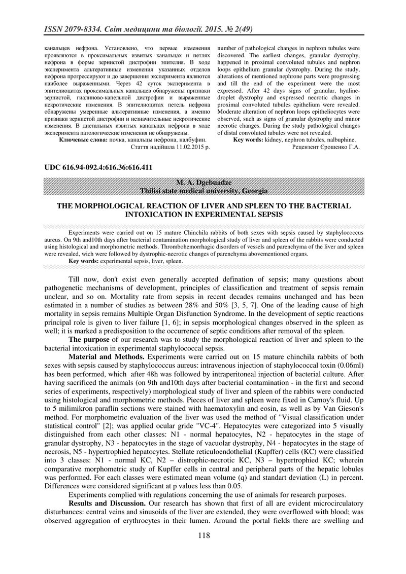 МОРФОЛОГІЧНА РЕАКЦІЯ ПЕЧІНКИ ТА СЕЛЕЗІНКИ БАКТЕРІАЛЬНОЇ ИНТОКСИКАЦИИ ПРИ ЕКСПЕРИМЕНТАЛЬНОМУ СЕПСИСУ