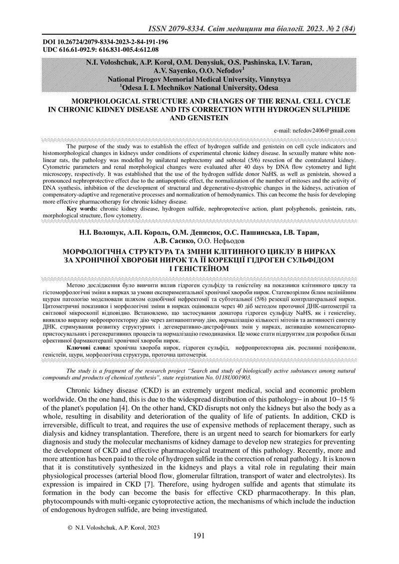 МОРФОЛОГІЧНА СТРУКТУРА ТА ЗМІНИ КЛІТИННОГО ЦИКЛУ В НИРКАХ  ЗА ХРОНІЧНОЇ ХВОРОБИ НИРОК ТА ЇЇ КОРЕКЦІЇ