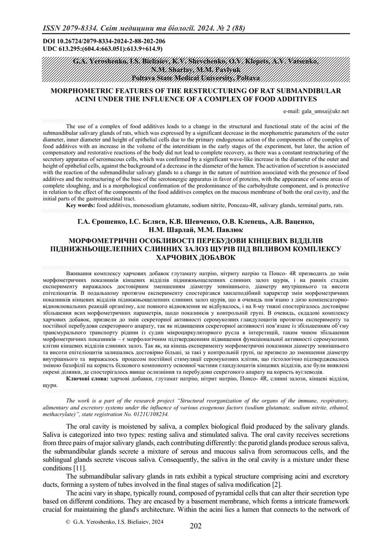 МОРФОМЕТРИЧНІ ОСОБЛИВОСТІ ПЕРЕБУДОВИ КІНЦЕВИХ ВІДДІЛІВ ПІДНИЖНЬОЩЕЛЕПНИХ СЛИННИХ ЗАЛОЗ ЩУРІВ ПІД ВПЛ
