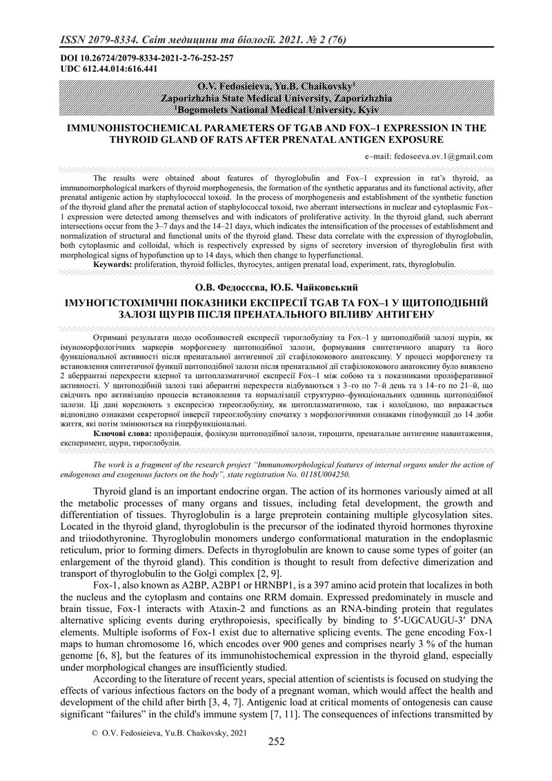 ІМУНОГІСТОХІМІЧНІ ПОКАЗНИКИ ЕКСПРЕСІЇ TGAB ТА FOX–1 У ЩИТОПОДІБНІЙ ЗАЛОЗІ ЩУРІВ ПІСЛЯ ПРЕНАТАЛЬНОГО 