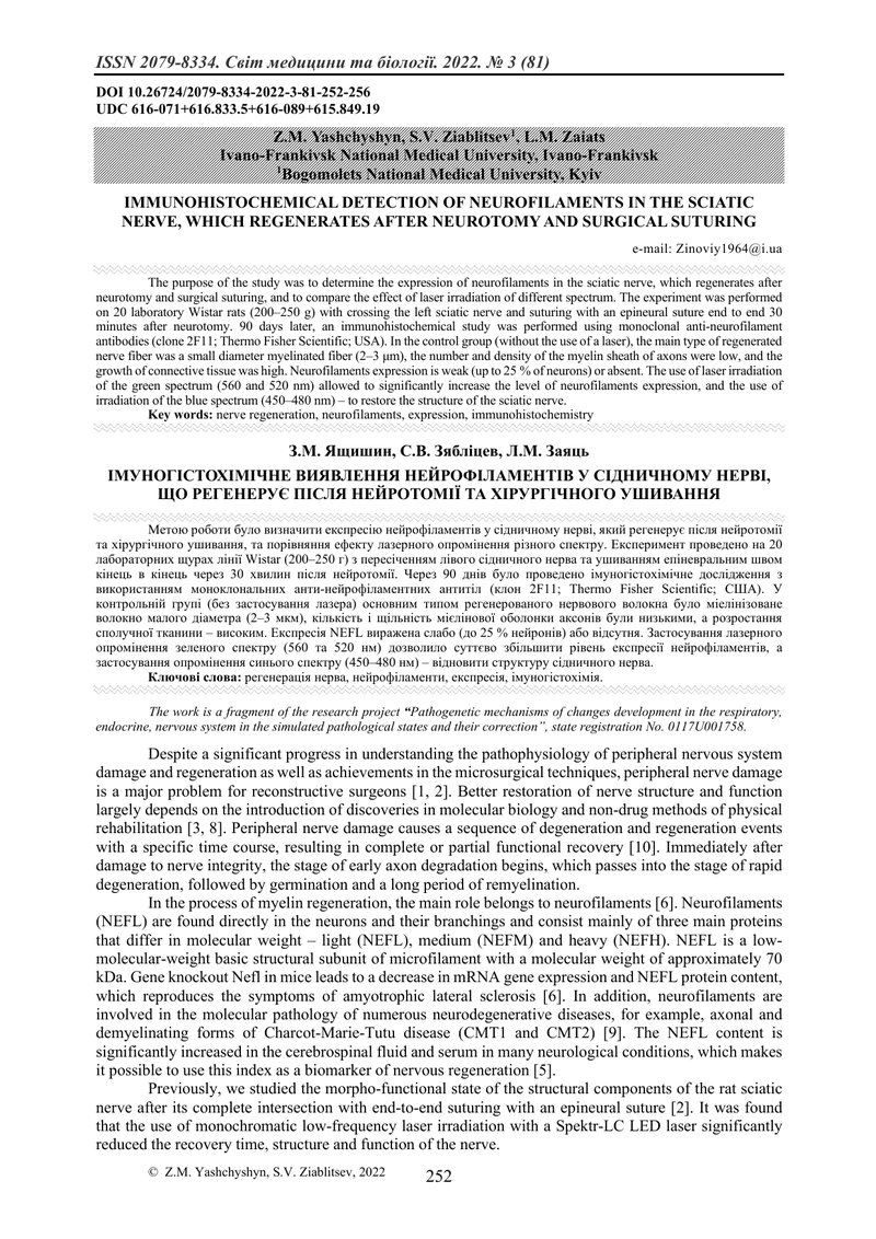 ІМУНОГІСТОХІМІЧНЕ ВИЯВЛЕННЯ НЕЙРОФІЛАМЕНТІВ У СІДНИЧНОМУ НЕРВІ, ЩО РЕГЕНЕРУЄ ПІСЛЯ НЕЙРОТОМІЇ ТА ХІР