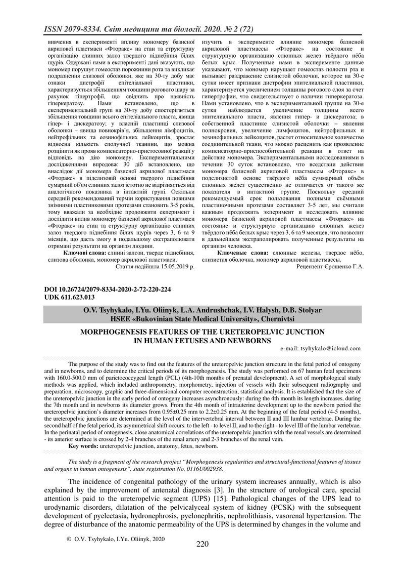 ОСОБЛИВОСТІ МОРФОГЕНЕЗУ МИСКОВО-СЕЧОВІДНОГО СЕГМЕНТА У ПЛОДІВ  ТА НОВОНАРОДЖЕНИХ ЛЮДИНИ