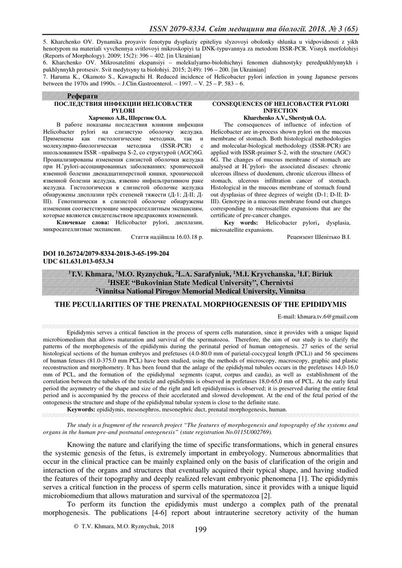 ОСОБЛИВОСТІ ПРЕНАТАЛЬНОГО МОРФОГЕНЕЗУ НАД’ЯЄЧКА