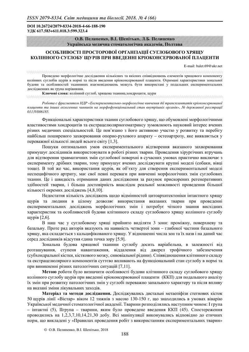 ОСОБЛИВОСТІ ПРОСТОРОВОЇ ОРГАНІЗАЦІЇ СУГЛОБОВОГО ХРЯЩУ  КОЛІННОГО СУГЛОБУ ЩУРІВ ПРИ ВВЕДЕННІ КРІОКОНС