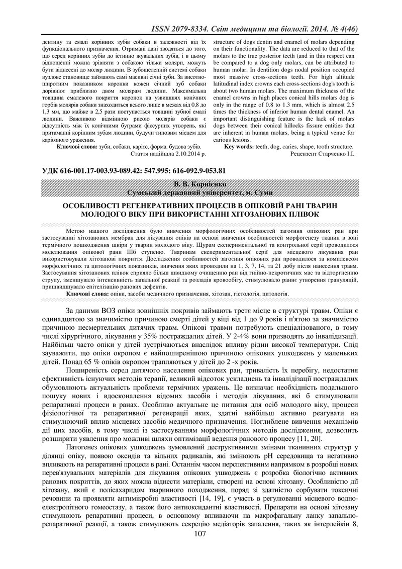 ОСОБЛИВОСТІ РЕГЕНЕРАТИВНИХ ПРОЦЕСІВ В ОПІКОВІЙ РАНІ ТВАРИН МОЛОДОГО ВІКУ ПРИ ВИКОРИСТАННІ ХІТОЗАНОВИ