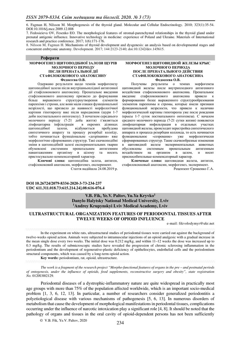 ОСОБЛИВОСТІ УЛЬТРАСТРУКТУРНОЇ ОРГАНІЗАЦІЇ ТКАНИН ПАРОДОНТА  ЧЕРЕЗ ДВАНАДЦЯТЬ ТИЖНІВ ОПІОЇДНОГО ВПЛИВ