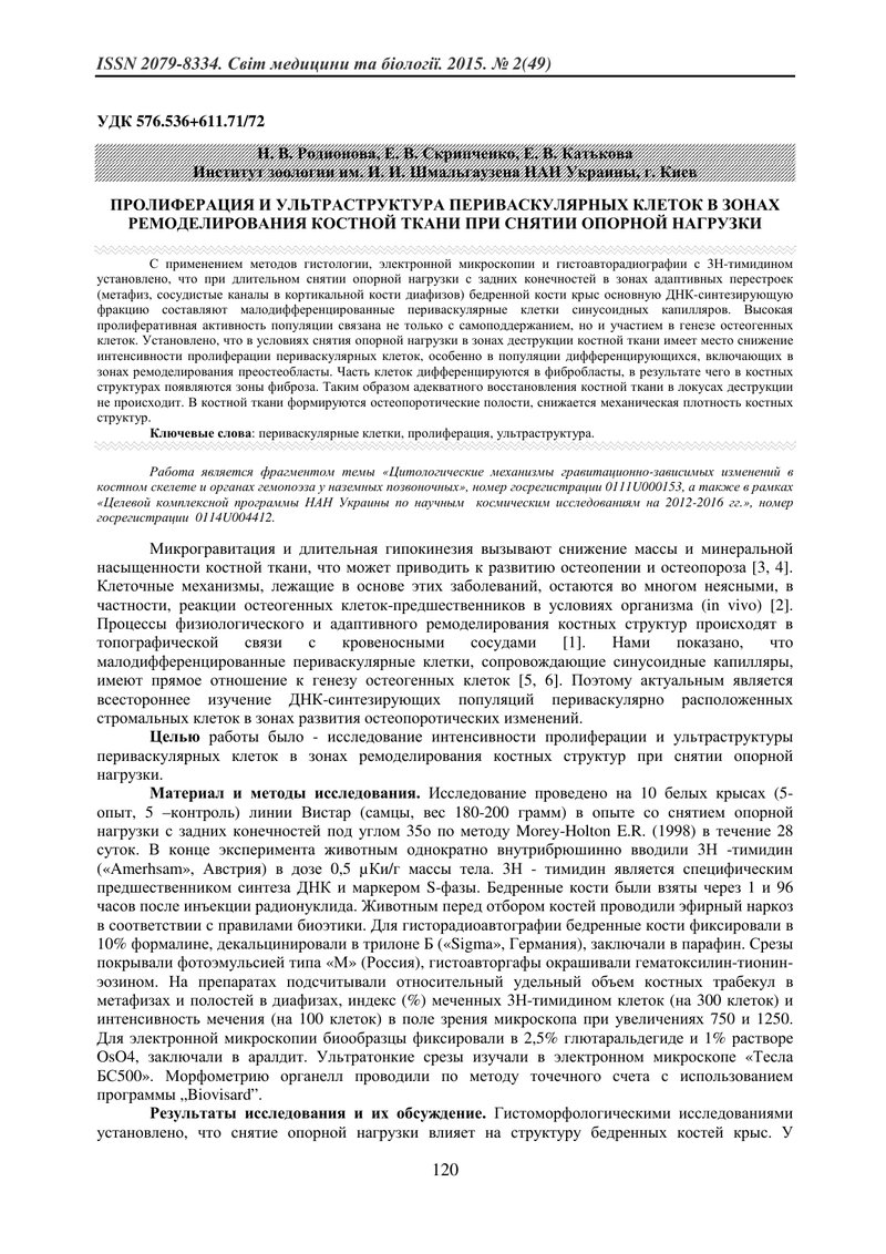 ПРОЛІФЕРАЦІЯ І УЛЬТРАСТРУКТУРА ПЕРИВАСКУЛЯРНИХ КЛІТИН В ЗОНАХ РЕМОДЕЛЮВАННЯ КІСТКОВОЇ ТКАНИНИ ПРИ ЗН