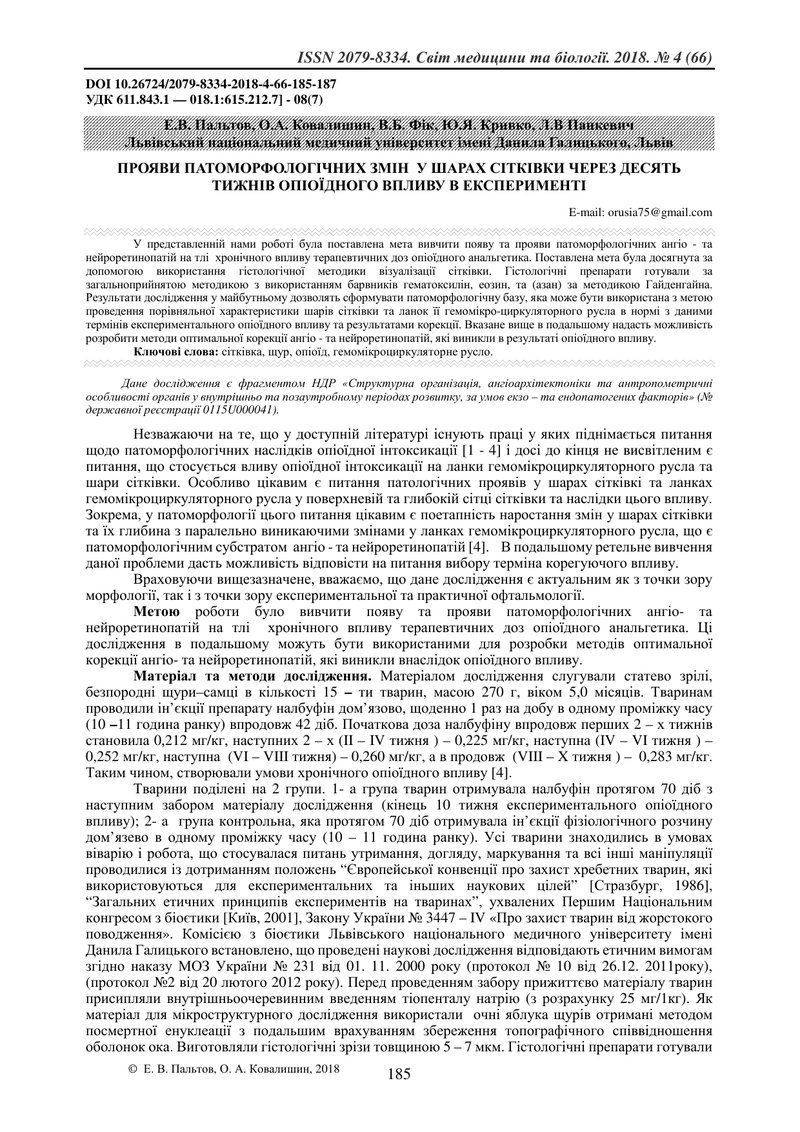 ПРОЯВИ ПАТОМОРФОЛОГІЧНИХ ЗМІН  У ШАРАХ СІТКІВКИ ЧЕРЕЗ ДЕСЯТЬ ТИЖНІВ ОПІОЇДНОГО ВПЛИВУ В ЕКСПЕРИМЕНТІ