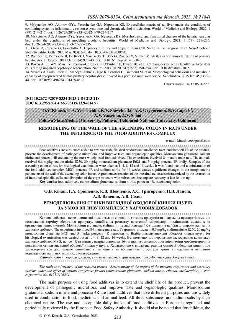 РЕМОДЕЛЮВАННЯ СТІНКИ ВИСХІДНОЇ ОБОДОВОЇ КИШКИ ЩУРІВ  ЗА УМОВ ВПЛИВУ КОМПЛЕКСУ ХАРЧОВИХ ДОБАВОК