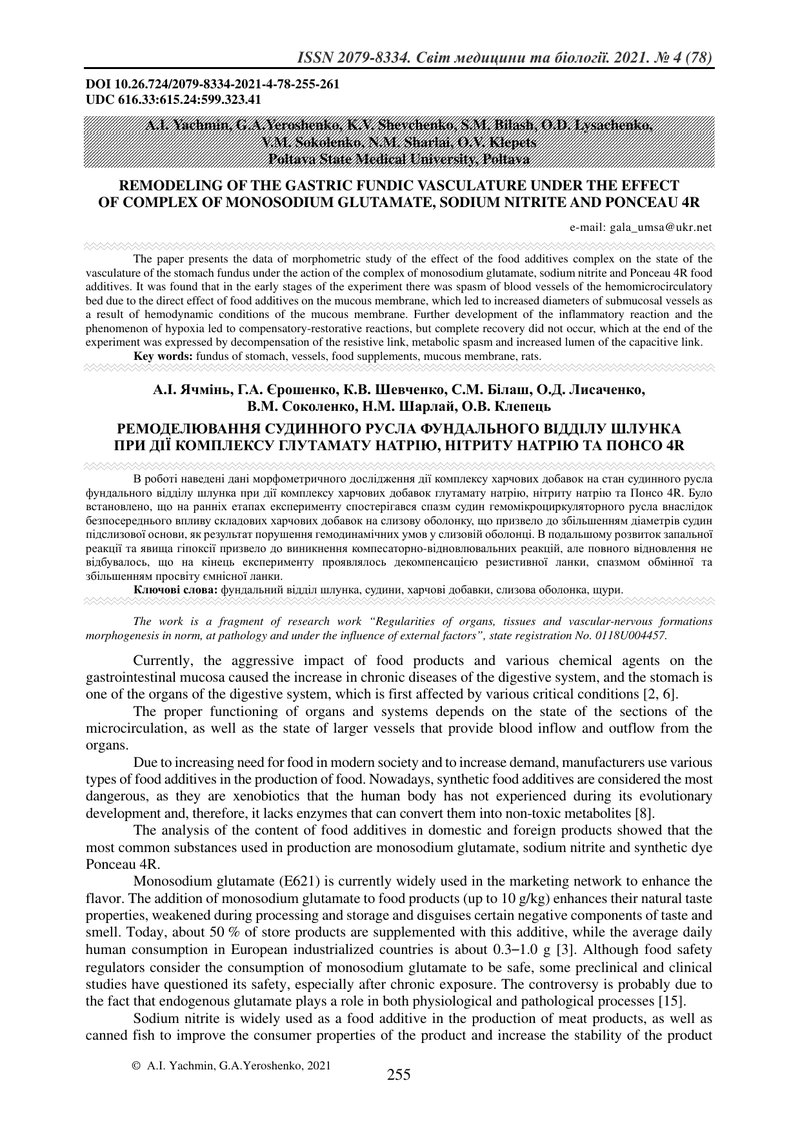 РЕМОДЕЛЮВАННЯ СУДИННОГО РУСЛА ФУНДАЛЬНОГО ВІДДІЛУ ШЛУНКА  ПРИ ДІЇ КОМПЛЕКСУ ГЛУТАМАТУ НАТРІЮ, НІТРИТ