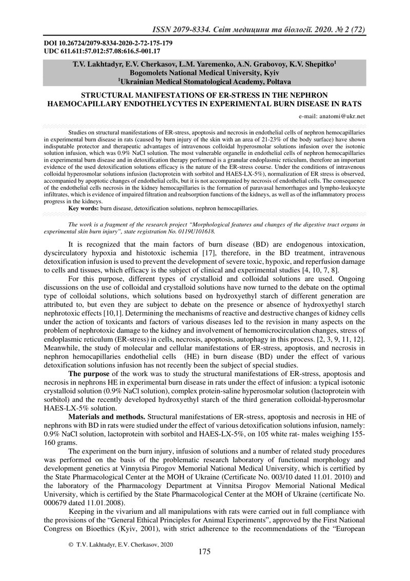 СТРУКТУРНІ ПРОЯВИ ER-СТРЕСУ  В ЕНДОТЕЛІОЦИТАХ ГЕМОКАПІЛЯРІВ НЕФРОНІВ ПРИ ЕКСПЕРИМЕНТАЛЬНІЙ ОПІКОВІЙ 