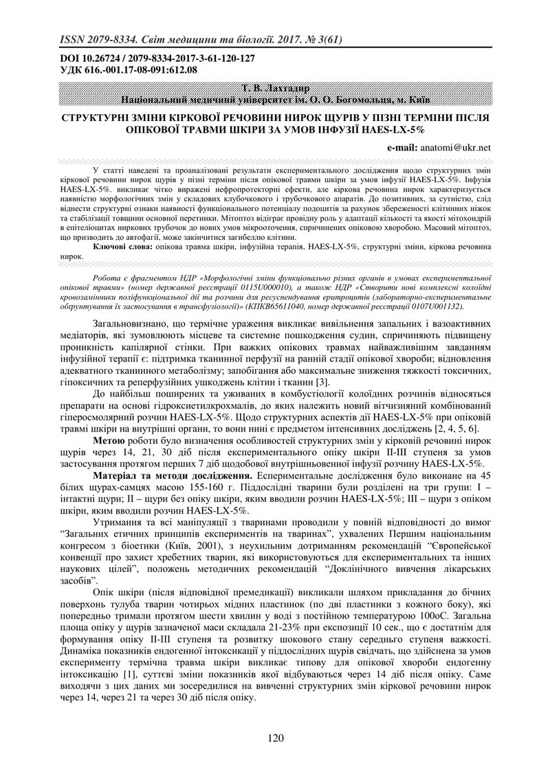 СТРУКТУРНІ ЗМІНИ КІРКОВОЇ РЕЧОВИНИ НИРОК ЩУРІВ У ПІЗНІ ТЕРМІНИ ПІСЛЯ ОПІКОВОЇ ТРАВМИ ШКІРИ ЗА УМОВ І