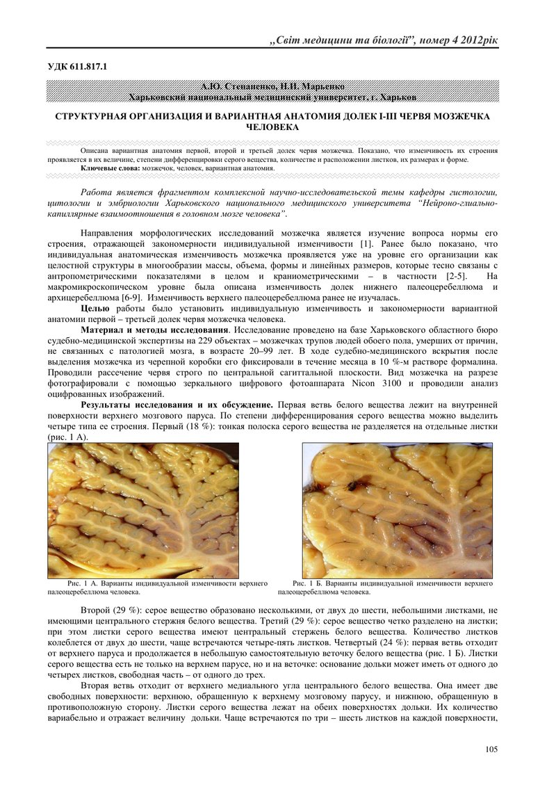 СТРУКТУРНА ОРГАНІЗАЦІЯ І ВАРІАНТНА АНАТОМІЯ ДОЛЕК I-III ЧЕРВ’ЯКА МОЗОЧКА ЛЮДИНИ