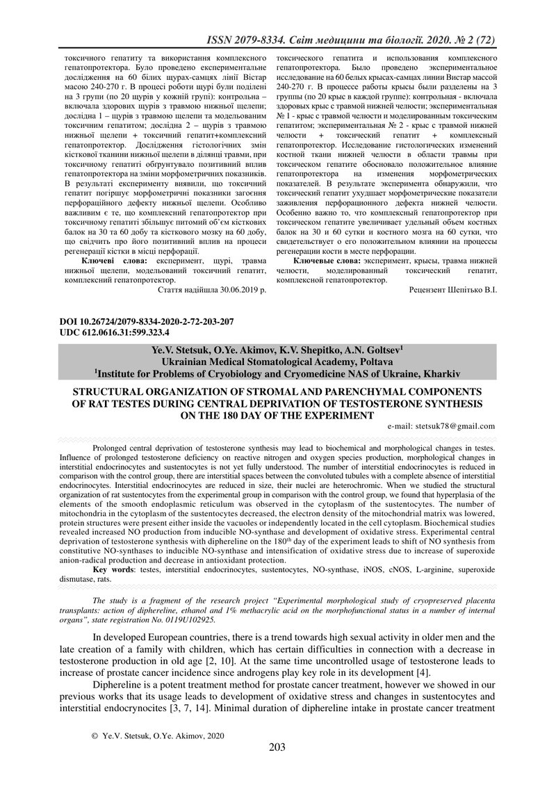 СТРУКТУРНА ОРГАНІЗАЦІЯ СТРОМАЛЬНИХ ТА ПАРЕНХІМАТОЗНИХ КОМПОНЕНТІВ СІМ’ЯНИКІВ ЩУРІВ ПРИ ЦЕНТРАЛЬНІЙ Д