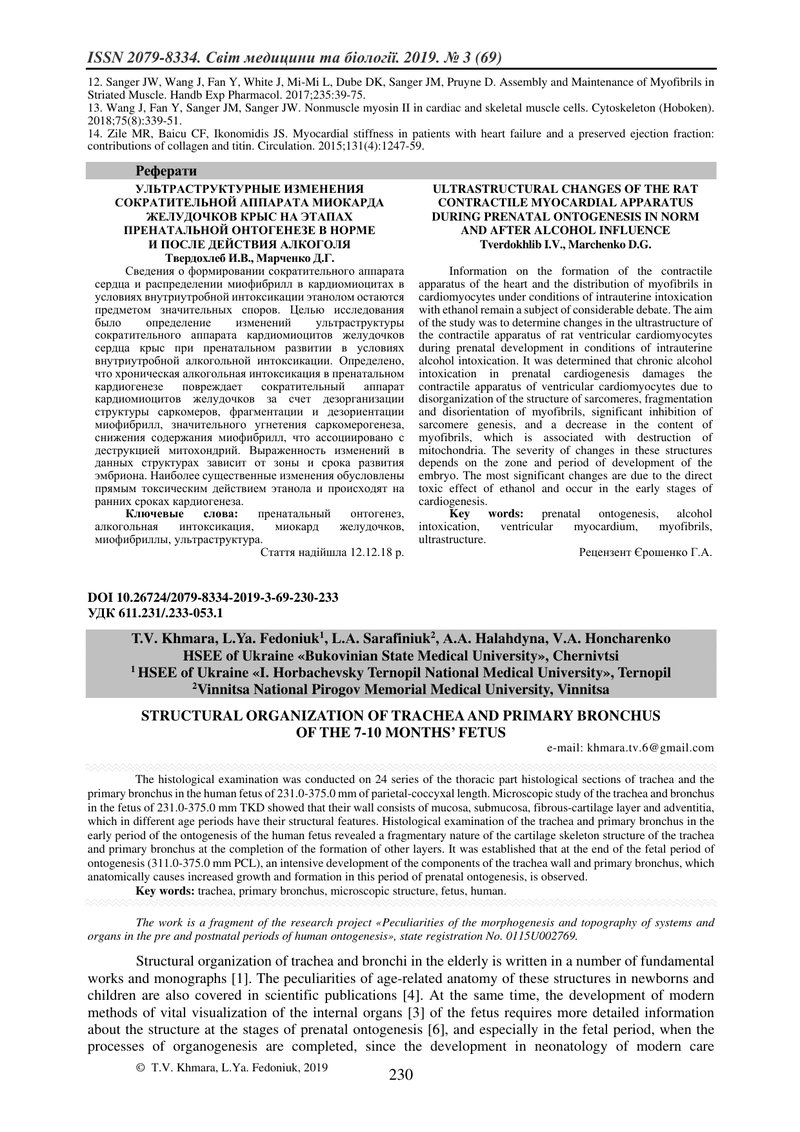 СТРУКТУРНА ОРГАНІЗАЦІЯ ТРАХЕЇ  І ГОЛОВНИХ БРОНХІВ У ПЛОДІВ ЛЮДИНИ  7-10 МІСЯЦІВ