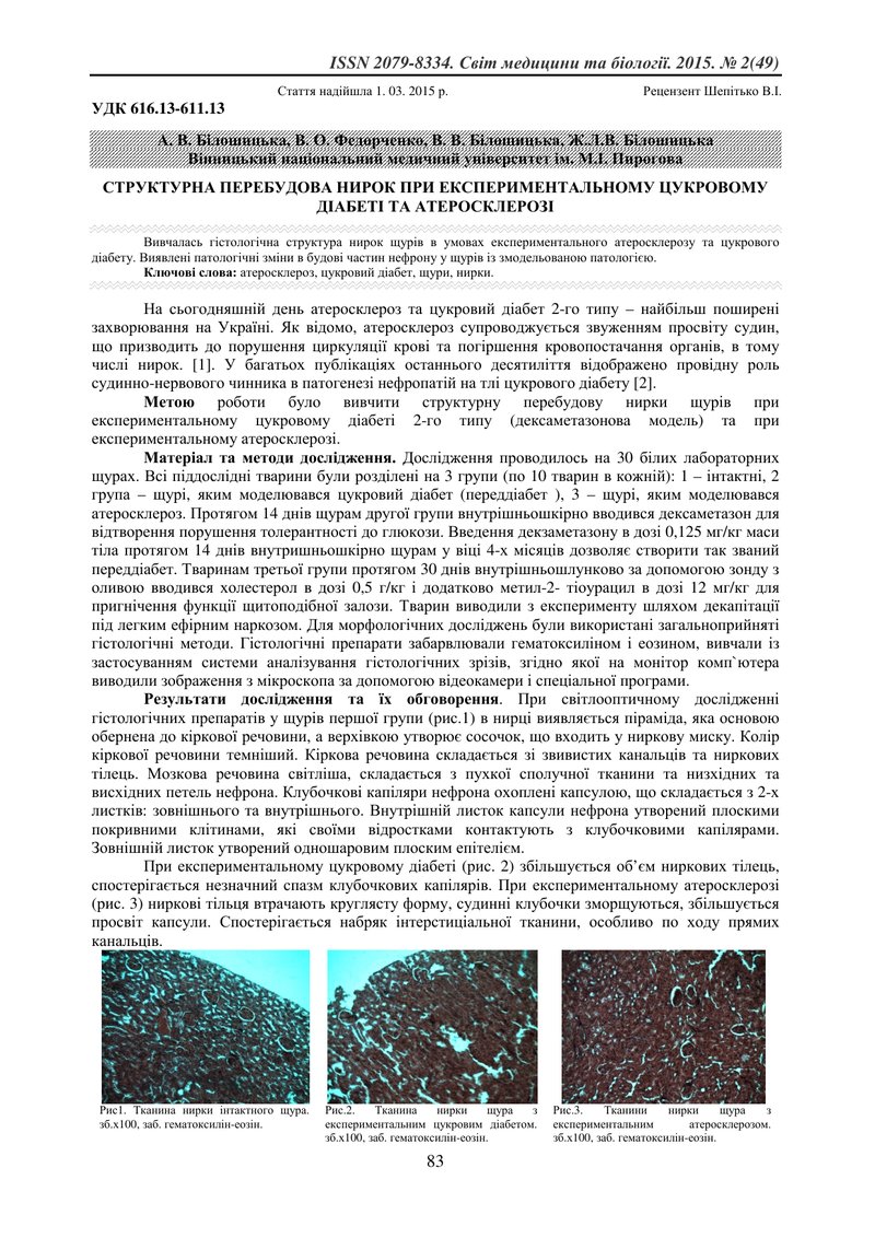 СТРУКТУРНА ПЕРЕБУДОВА НИРОК ПРИ ЕКСПЕРИМЕНТАЛЬНОМУ ЦУКРОВОМУ ДІАБЕТІ ТА АТЕРОСКЛЕРОЗІ