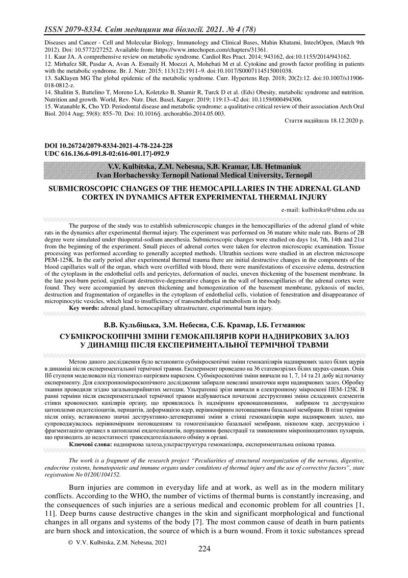 СУБМІКРОСКОПІЧНІ ЗМІНИ ГЕМОКАПІЛЯРІВ КОРИ НАДНИРКОВИХ ЗАЛОЗ У ДИНАМІЦІ ПІСЛЯ ЕКСПЕРИМЕНТАЛЬНОЇ ТЕРМІ