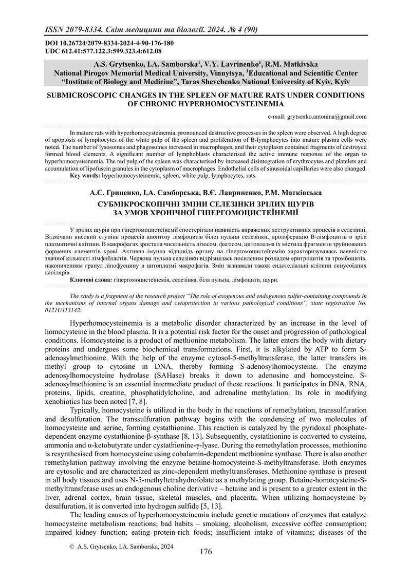 СУБМІКРОСКОПІЧНІ ЗМІНИ СЕЛЕЗІНКИ ЗРІЛИХ ЩУРІВ  ЗА УМОВ ХРОНІЧНОЇ ГІПЕРГОМОЦИСТЕЇНЕМІЇ