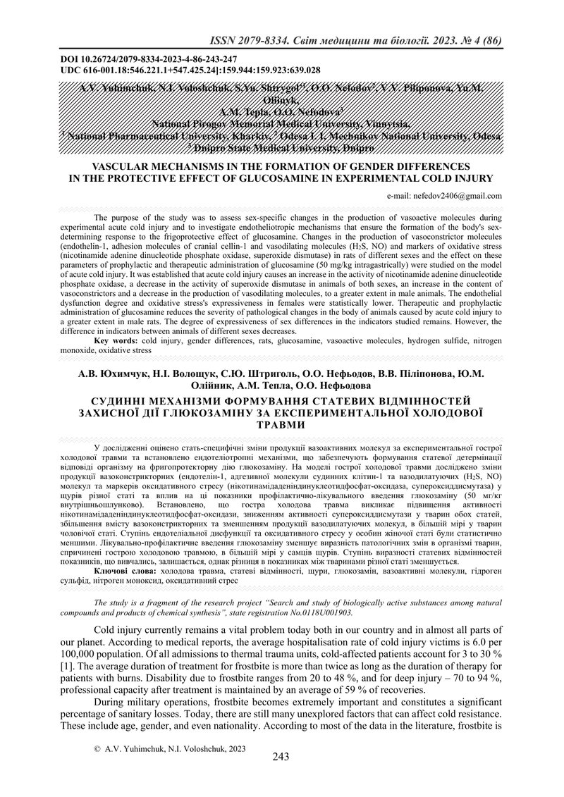 СУДИННІ МЕХАНІЗМИ ФОРМУВАННЯ СТАТЕВИХ ВІДМІННОСТЕЙ ЗАХИСНОЇ ДІЇ ГЛЮКОЗАМІНУ ЗА ЕКСПЕРИМЕНТАЛЬНОЇ ХОЛ