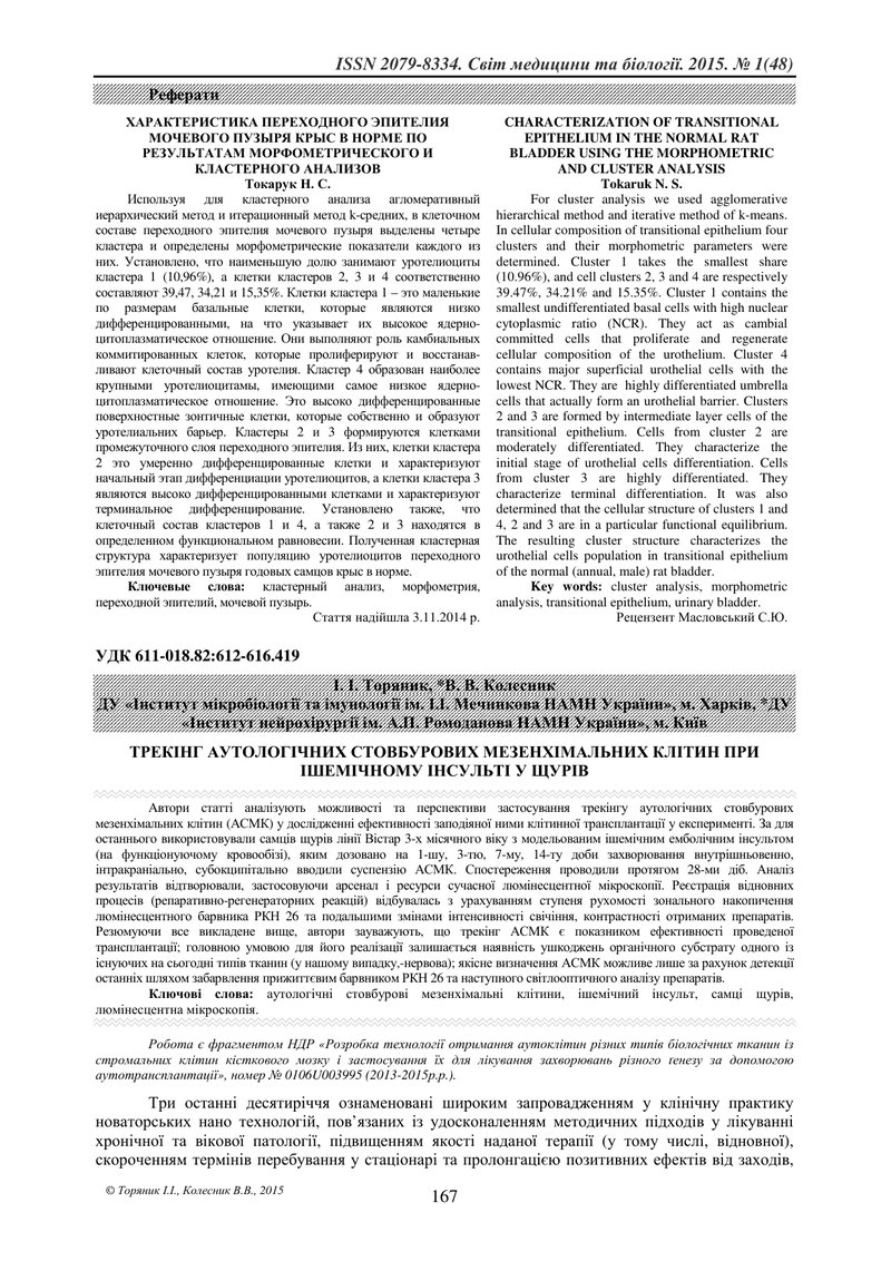 ТРЕКІНГ АУТОЛОГІЧНИХ СТОВБУРОВИХ МЕЗЕНХІМАЛЬНИХ КЛІТИН ПРИ ІШЕМІЧНОМУ ІНСУЛЬТІ У ЩУРІВ