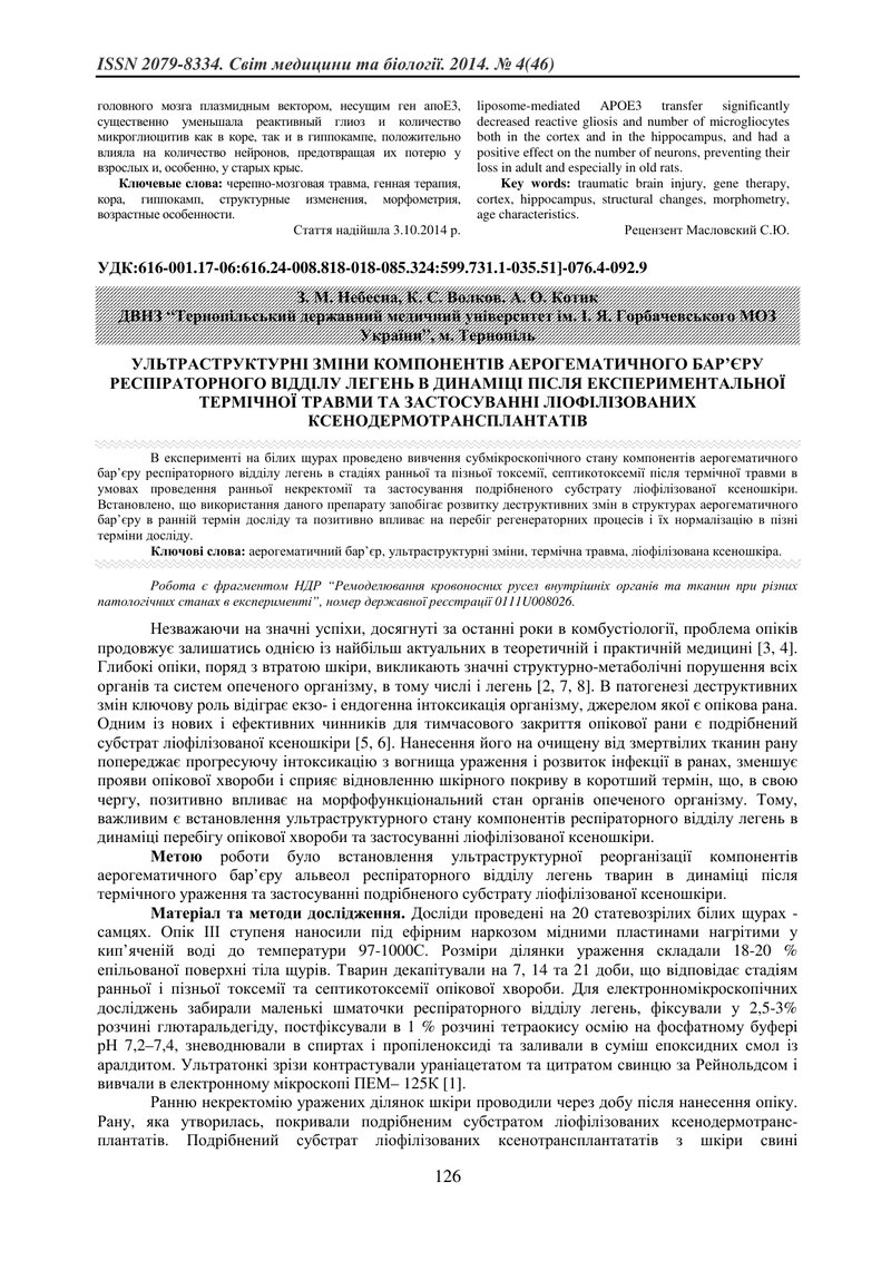 УЛЬТРАСТРУКТУРНІ ЗМІНИ КОМПОНЕНТІВ АЕРОГЕМАТИЧНОГО БАР’ЄРУ РЕСПІРАТОРНОГО ВІДДІЛУ ЛЕГЕНЬ В ДИНАМІЦІ 