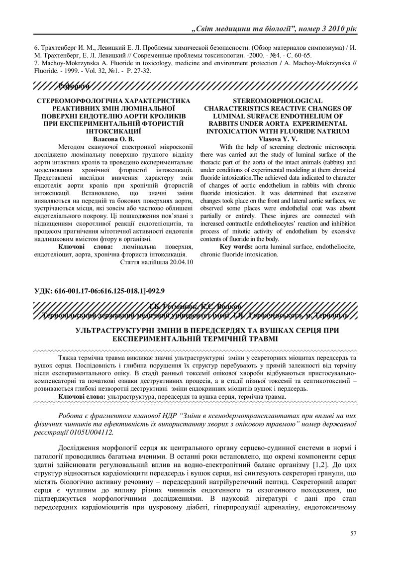 УЛЬТРАСТРУКТУРНІ ЗМІНИ В ПЕРЕДСЕРДЯХ ТА ВУШКАХ СЕРЦЯ ПРИ ЕКСПЕРИМЕНТАЛЬНІЙ ТЕРМІЧНІЙ ТРАВМІ [transla
