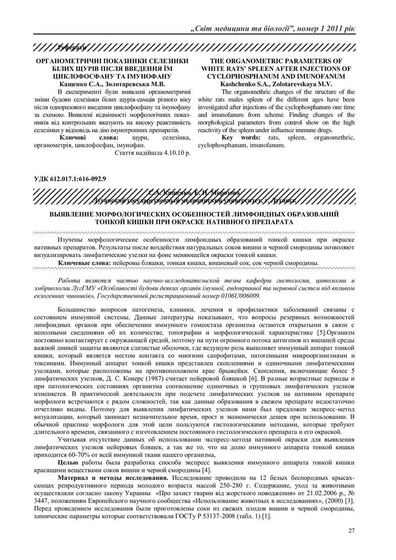 ВИЯВЛЕННЯ МОРФОЛОГІЧНИХ ОСОБЛИВОСТЕЙ ЛІМФОЇДНИХ УТВОРЕНЬ ТОНКОЇ КИШКИ ПРИ ЗАБАРВЛЕННІ НАТИВНОГО ПРЕП
