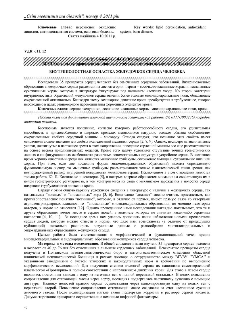 ВНУТРІШНЬОПОРОЖНИННЕ ЗАБЕЗПЕЧЕННЯ ШЛУНОЧКІВ СЕРЦЯ ЛЮДИНИ
