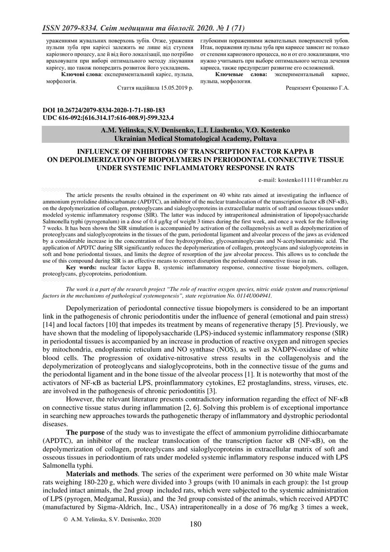 ВПЛИВ ІНГІБІТОРА ТРАНСКРИПЦІЙНОГО ФАКТОРА КАППА B НА ДЕПОЛІМЕРИЗАЦІЮ БІОПОЛІМЕРІВ СПОЛУЧНОЇ ТКАНИНИ 